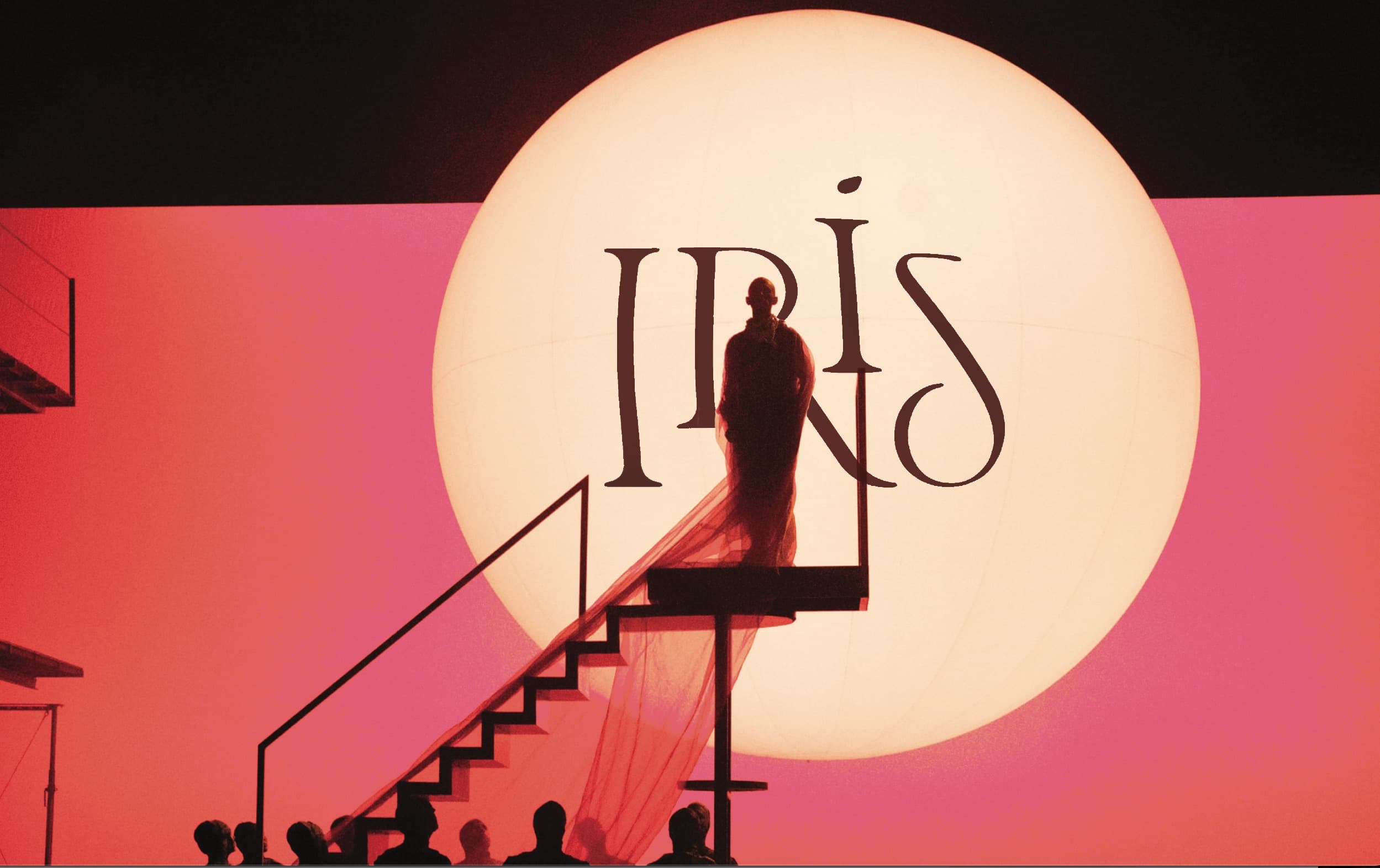 IRIS Experiences