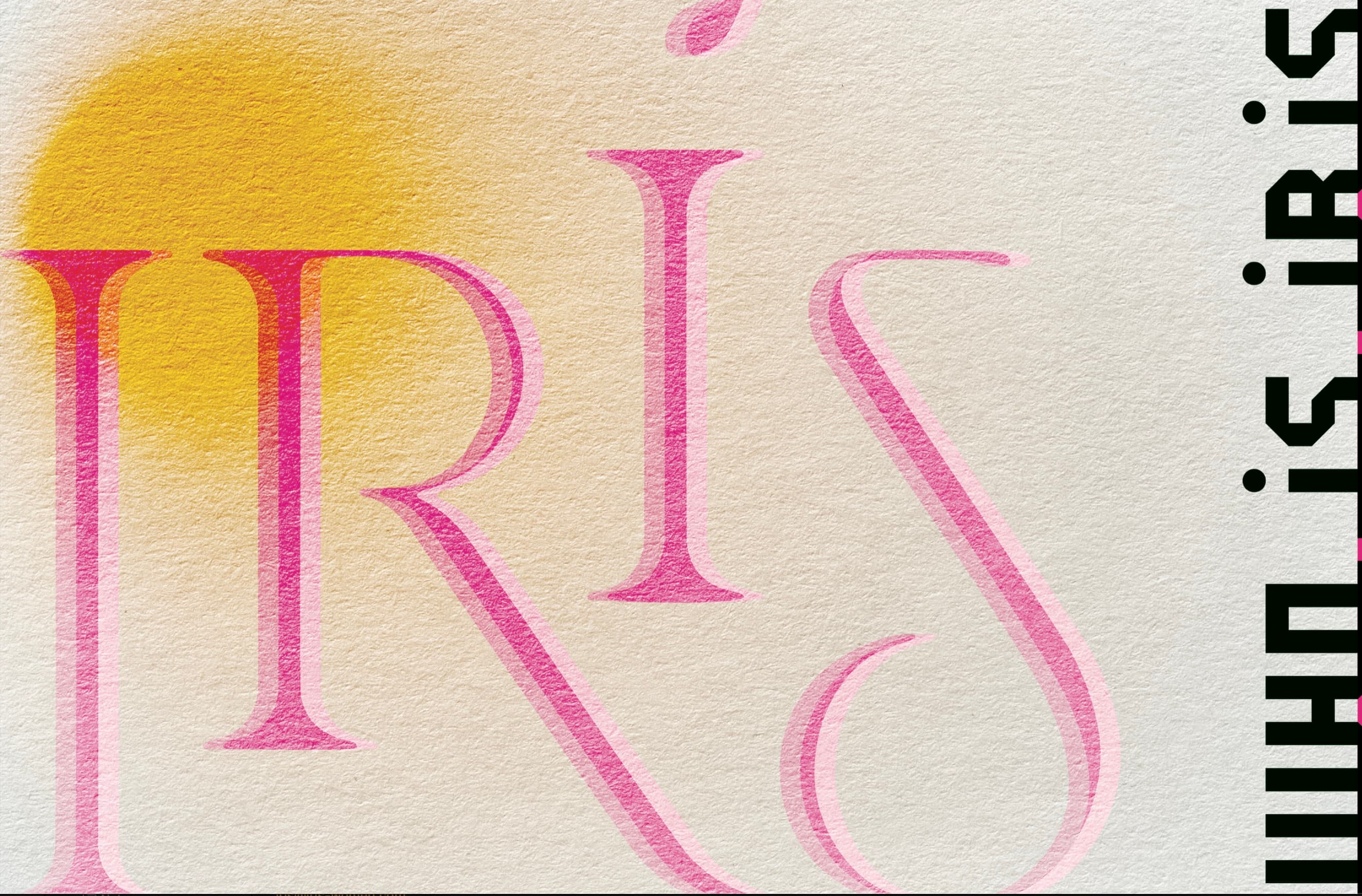 IRIS experience atmosphere
